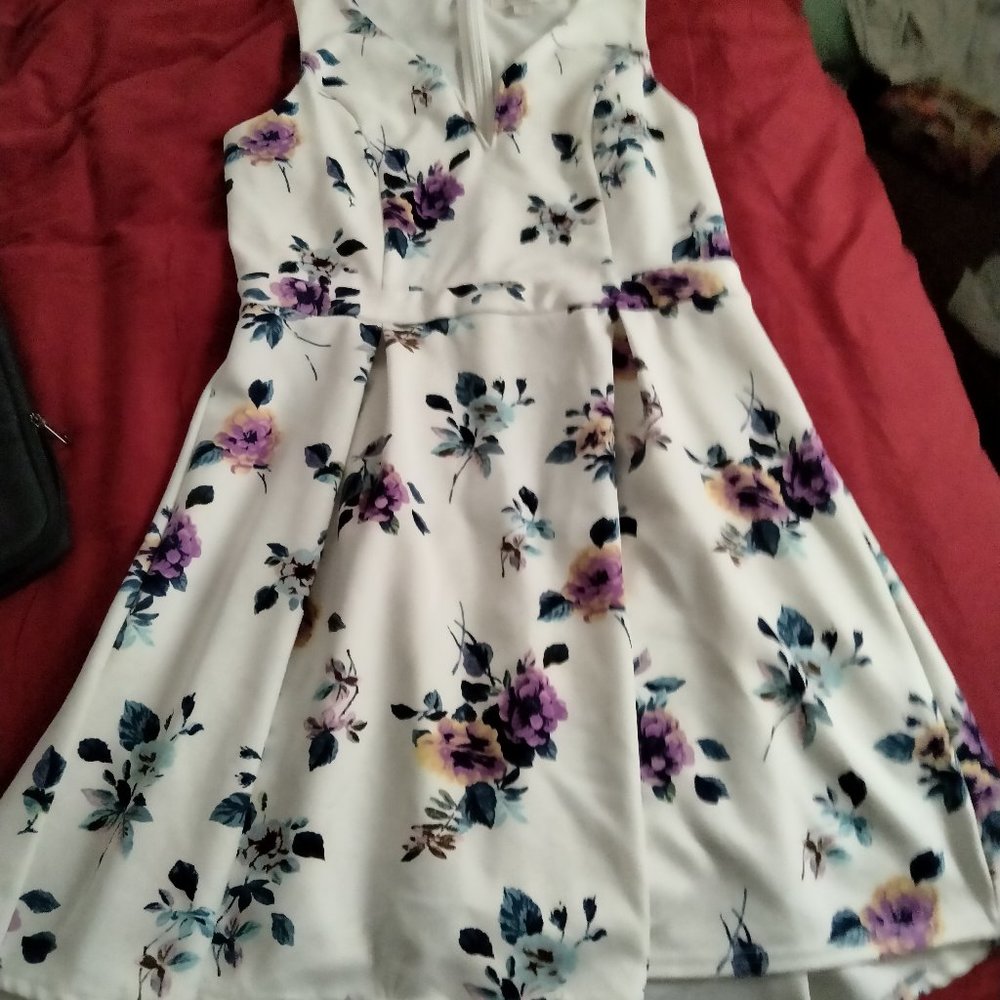Francesca's Dress floral and off white size L
